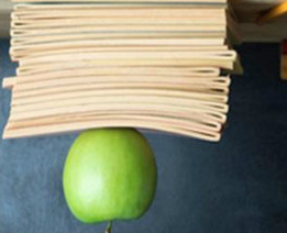 學而思網(wǎng)校從視頻到“翻轉課堂”，升級產(chǎn)品線