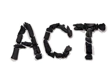 ACT俱樂(lè)部上線，要連接學(xué)生、機(jī)構(gòu)和學(xué)校