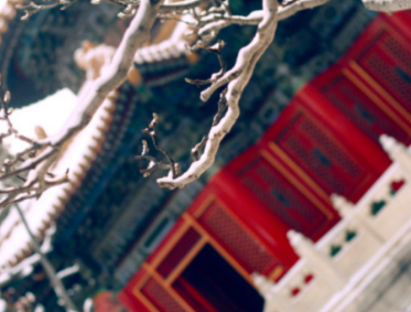 卓越教育推大語文探索新玩法，誰說主課不能玩素質(zhì)教育