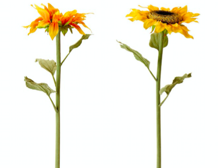 進(jìn)校產(chǎn)品虛擬實(shí)驗(yàn)室NOBOOK，在收費(fèi)之前做了怎樣的探索？