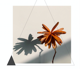 決勝網(wǎng)要涉足動(dòng)漫教育，推新LOGO“決勝?！? />決勝網(wǎng)要涉足動(dòng)漫教育，推新LOGO“決勝?！?/a></li>
																	</ul>
							</dd>
						</dl>
						<dl>
																							</div>



					<div   id=