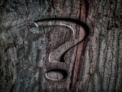 疑云重重，巨人又一起另立門戶案的背后