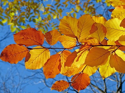 “入侵者”樂課力