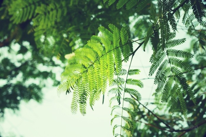 三壘機(jī)器擬收購美吉姆，資本為何越來越青睞早教市場？