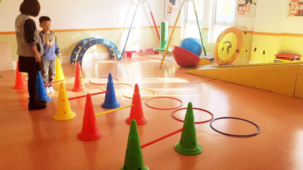 金色雨林完成逾5000萬元A輪融資，上半年將推在線小班課