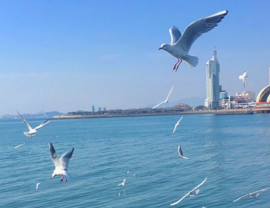 百度智慧課堂內(nèi)容升級(jí)：已同步新課標(biāo)14門科目